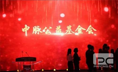 原来,中脉为妇女儿童做了这些事!