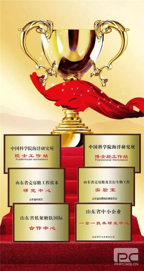 汲“一带一路”中国智慧,促卫康如此发展