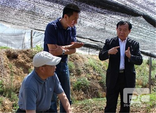 金颐阳邀请媒体采风团走进威海西洋参种植基地参观交流