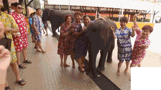 “泰•想和你在一起”卫康海外游学之旅圆满落幕