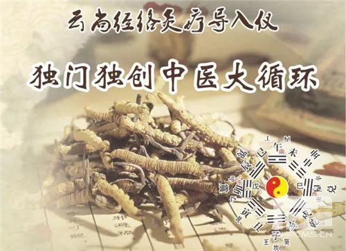 一站式健康管理解决方案,云尚积极打造锤炼中