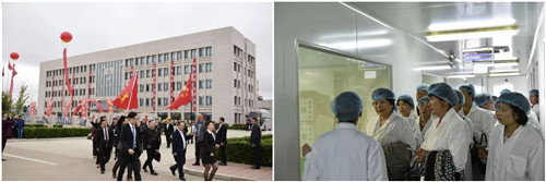 海之圣携手龙腾国际 谱写全新华章