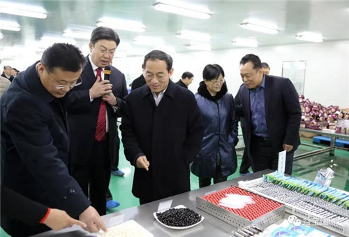 济宁市党政观摩团来益宝康富森观摩考察