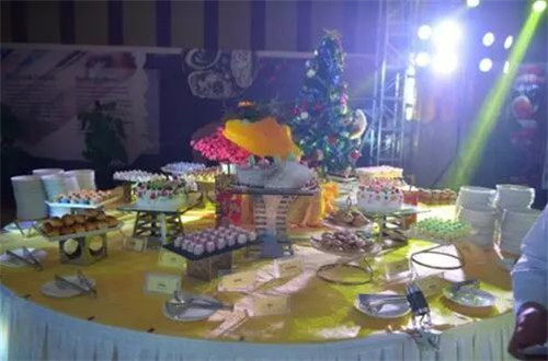 2017天狮集团全球飞狮晚宴盛大开启