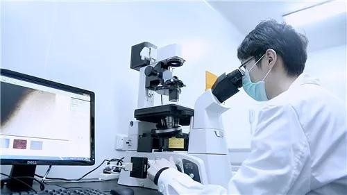 康婷:潜心品质砥砺科研,胸怀天下筑梦健康