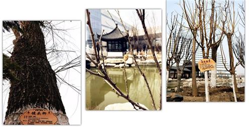 http://www.zhiliaow.cn/uploadfile/2018/0314/20180314034301197.png