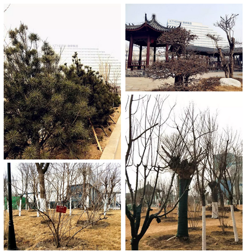 http://www.zhiliaow.cn/uploadfile/2018/0314/20180314034301521.png