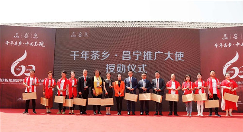 全国茶人齐聚昌宁,见证龙润昌宁茶厂六十周年芳华岁月