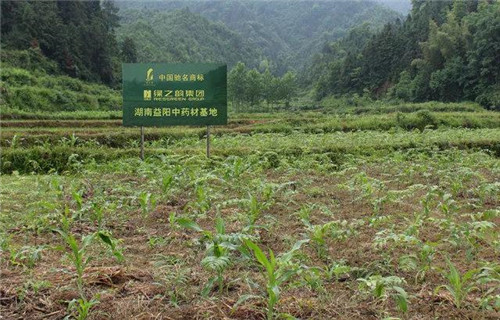 胡国安谈产学研：绿之韵坚守“科技兴企”，抢占市场制高点