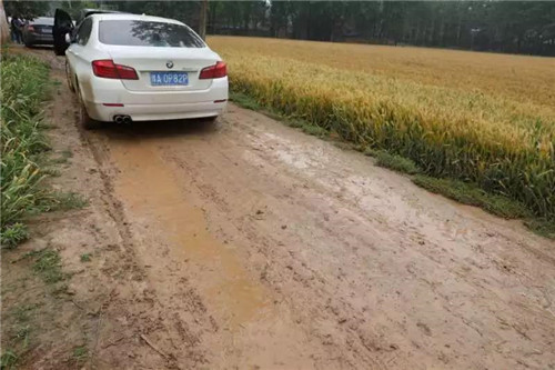 康美“青禾行动”赠出超百万爱心善款,昨日奔赴首站——周口