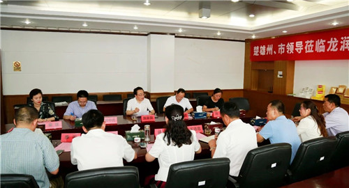 楚雄州、市领导一行莅临龙润和理想,聚焦彝药产业发展!