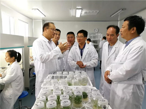 安发高益槐教授应邀参加宁德市生物医药产业发展专家咨询会