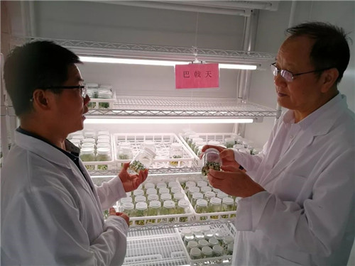 安发高益槐教授应邀参加宁德市生物医药产业发展专家咨询会