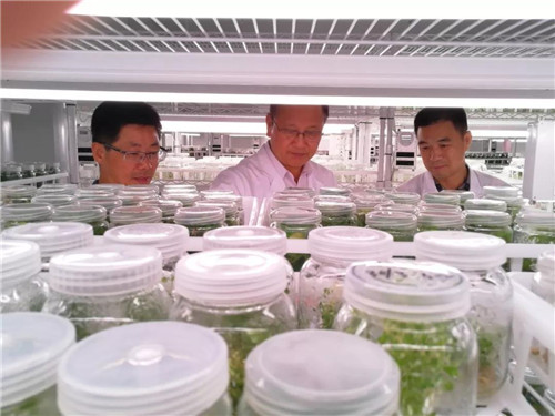 安发高益槐教授应邀参加宁德市生物医药产业发展专家咨询会