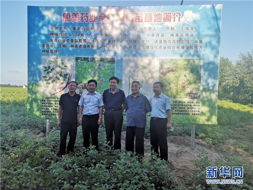 中医科学院院长张伯礼考察康美中药材种植基地