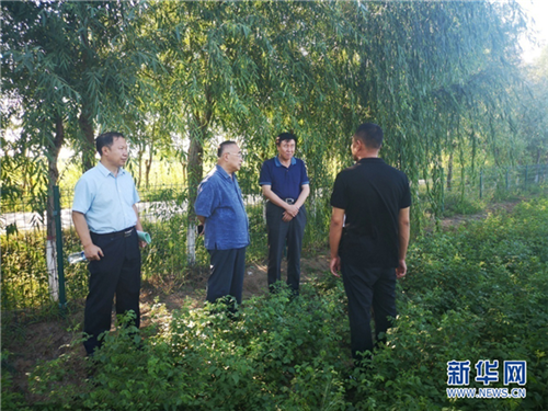 中医科学院院长张伯礼考察康美中药材种植基地