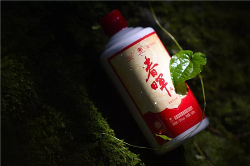 理想跨越三个世纪·招待朋友的酒:杨林肥酒品牌形象全新亮相