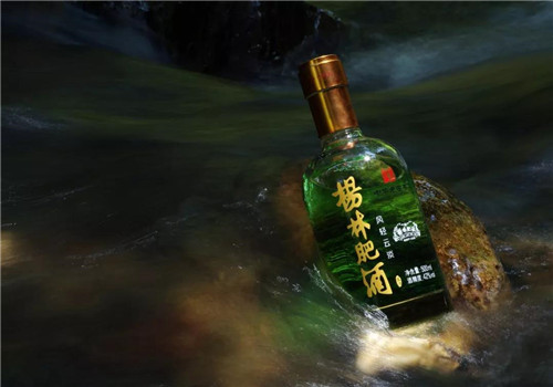 理想跨越三个世纪·招待朋友的酒:杨林肥酒品牌形象全新亮相