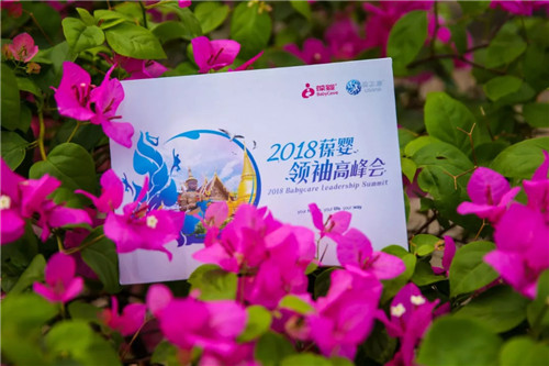 泰北玫瑰,绽放葆婴——2018葆婴领袖高峰会再次启航