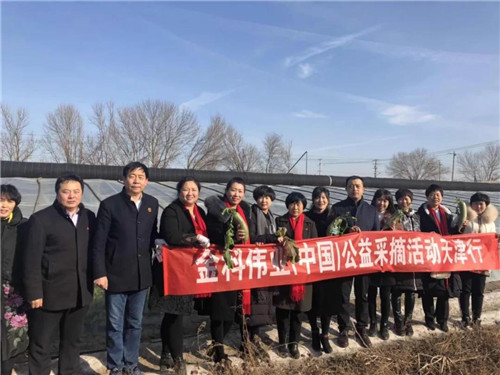 “金科伟业(中国)公益天津行”采摘活动开展