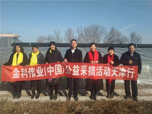 “金科伟业(中国)公益天津行”采摘活动开展