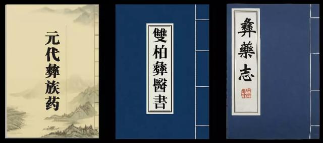 焦家良委员参加云南政协十二届二次会议,建议聚焦彝医药发展