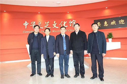 省市司法系统领导在安惠调研