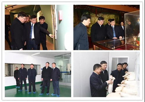 省市司法系统领导在安惠调研