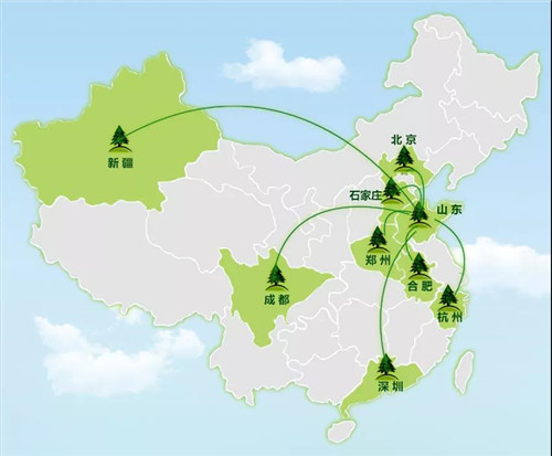 安然集团总部、山东分公司公益植树活动盎然开启