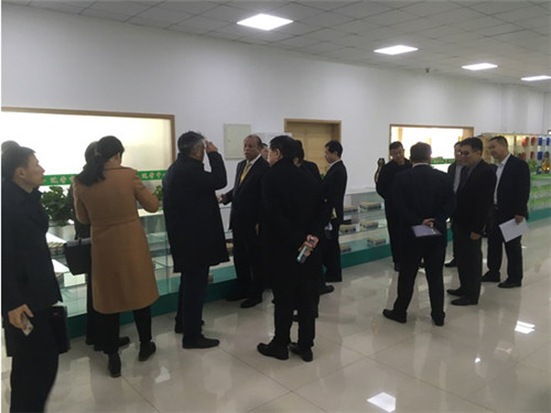 国家督导组莅临东升伟业督查指导,对相关工作表示满意
