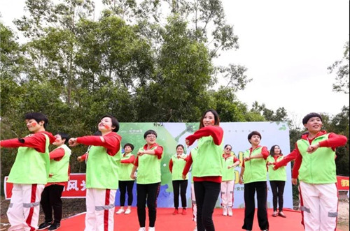 安然深圳分公司公益植树活动精彩开启