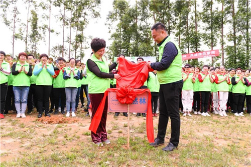 安然深圳分公司公益植树活动精彩开启
