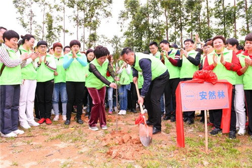 安然深圳分公司公益植树活动精彩开启