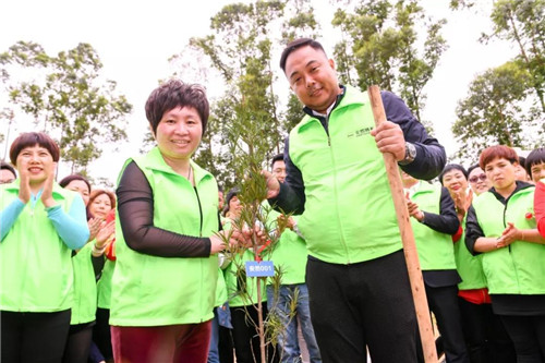 安然深圳分公司公益植树活动精彩开启
