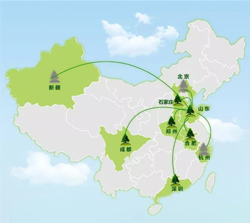 安然深圳分公司公益植树活动精彩开启