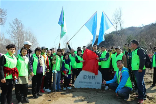 安然北京分公司公益植树活动精彩开启