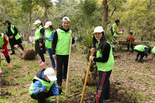 安然杭州分公司公益植树活动靓丽开启