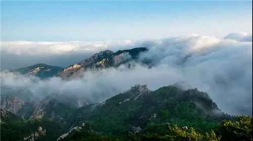 卫康:打造医养结合齐鲁模式 建设蒙山康谷特色小镇