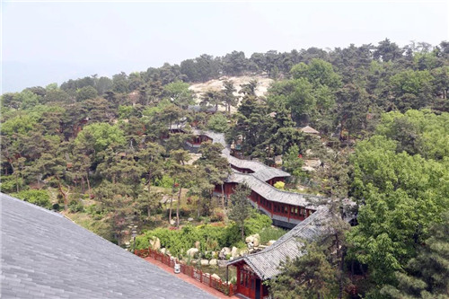 卫康:打造医养结合齐鲁模式 建设蒙山康谷特色小镇