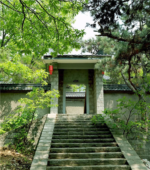 卫康:打造医养结合齐鲁模式 建设蒙山康谷特色小镇