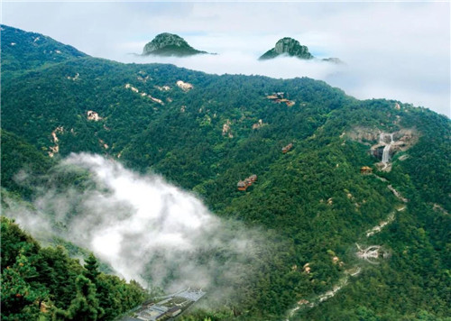 卫康:打造医养结合齐鲁模式 建设蒙山康谷特色小镇