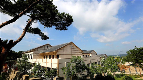 卫康:打造医养结合齐鲁模式 建设蒙山康谷特色小镇