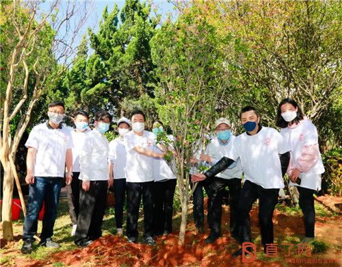 播种理想,收获成果!第六届“理想种树日”圆满举行