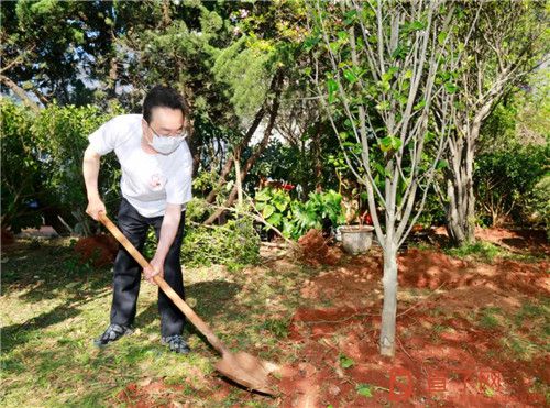 播种理想,收获成果!第六届“理想种树日”圆满举行
