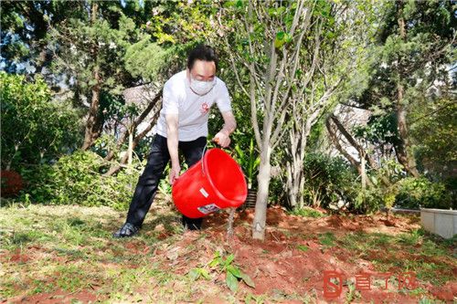 播种理想,收获成果!第六届“理想种树日”圆满举行
