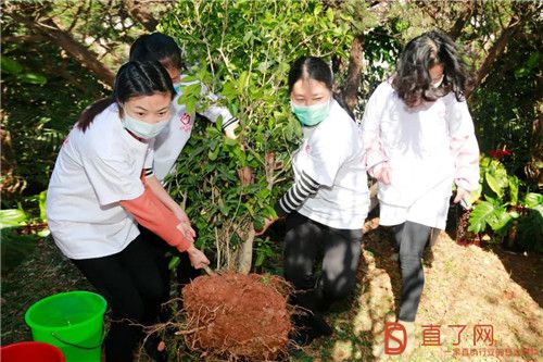 播种理想,收获成果!第六届“理想种树日”圆满举行