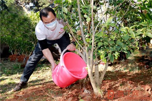 播种理想,收获成果!第六届“理想种树日”圆满举行