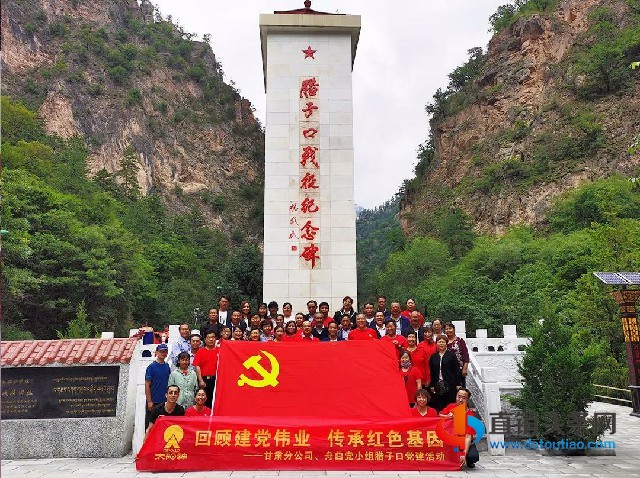 向黨獻禮:太陽神網絡黨總支甘肅舟曲黨小組正式成立!