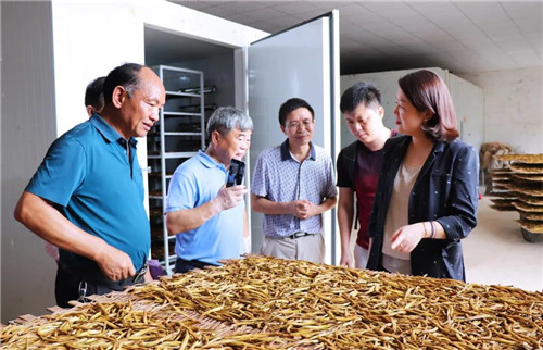 绿之韵黄花菜种植示范基地项目签约仪式举行