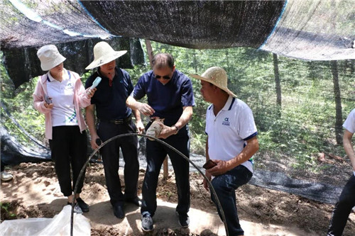 安发生物举行年中工作总结暨团建活动